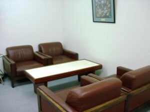 Comfortable sofa for guests